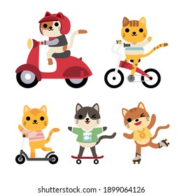 Big set of isolated animals. Vector collection of activity, riding, bike, cycle, roller skating, skateboarding, scootie, funny animals. Cute animals: cat in cartoon style. 