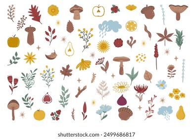 Gran conjunto de Elementos decorativos de otoño aislados de follaje, flores, setas y cosecha. Ilustración vectorial en estilo minimalista plano. Tonos cálidos y acogedores