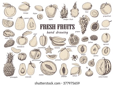 Big set with isolated fruits. Vector  illustration for your design