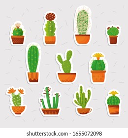 Big set of isolated vector cute cacti. Colorful illustration in a simple cartoon style. Set of stickers and stickers