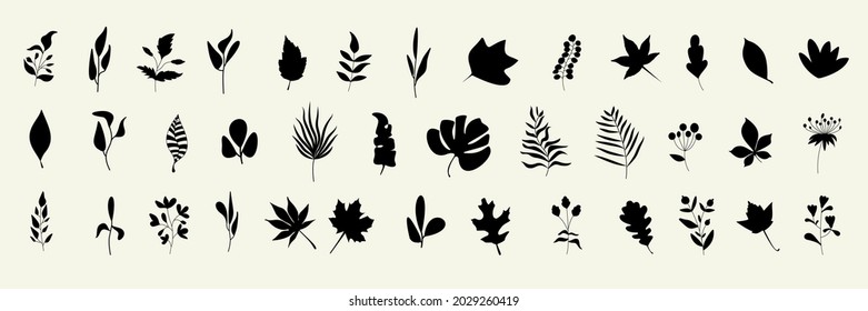 Big set of leaf silhouettes. Autumn and spring background. Collection of leaves of fern, maple, chestnut, birch, rowan, oak, willow, lilac, aspen, ash, ginkgo biloba. Stock vector illustration