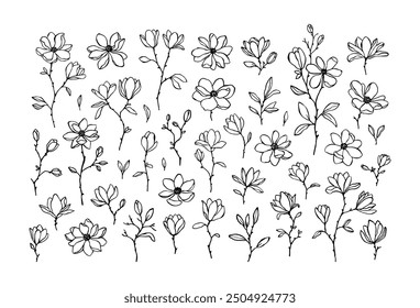 Big set of line art vector magnolia flowers, branches and buds isolated on white. Elegant hand drawn floral elements for decorative design, prints, wedding invitation. Lovely linear magnolia flowers
