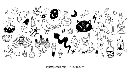 Big set of magic, witchcraft and occult items for witches, animals and plants. Amulets and ritual objects, cat and snake, potion and mushrooms. Vector illustration. Linear hand isolated doodles