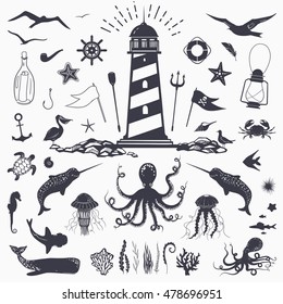 big set of marine animals: cachalot, shark, octopus, jellyfish, starfish, seahorse, crab, seagulls isolated on white, vector nautical illustration