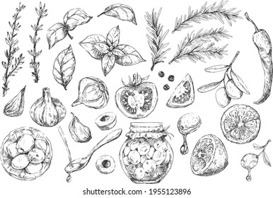 Big set of mediterranean cuisine ingredients and spices, sketchy illustration on white background