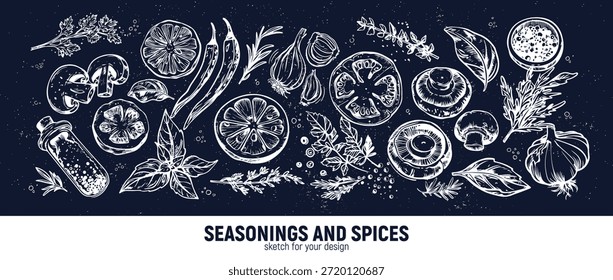 Grande conjunto para o menu. Especiarias e legumes. Desenhos à mão