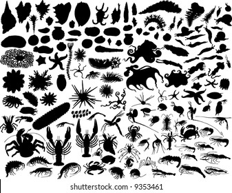 Big Set of  Mollusks and other Invertebrates Silhouettes in Different Poses.  Sea Life Almost Each Kind of It Represented in set. High Detail. Vector Illustration.
