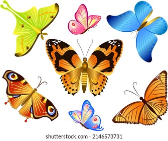 Big set of multicolor beautiful motley butterflies Vector