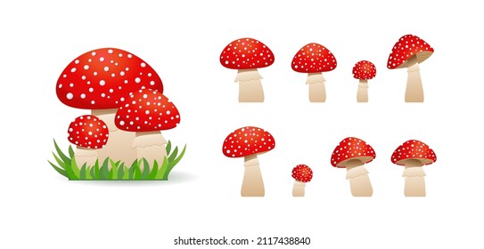 Big set mushrooms  toadstool cute. Inedible mushrooms. Vector illustration in cartoon style. isolated on white background. fly agaric, amanita mushrooms.