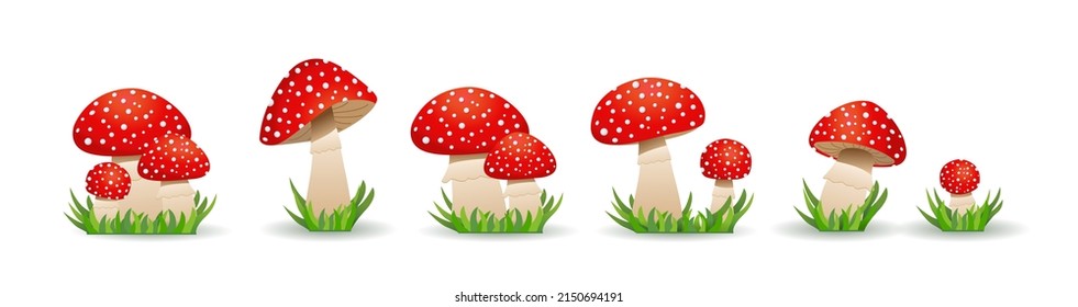 Big Set mushrooms  toadstool. Inedible mushrooms. Vector illustration in cartoon style. isolated on white background. Amanita muscaria 