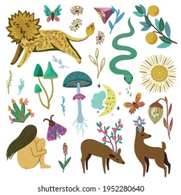 Big set of mystic, fairy, fantasy and psychedelic design elements.