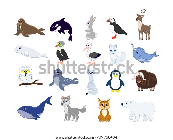 Big Set North Animals Cartoon Arctic Stock Vector (Royalty Free) 709968484