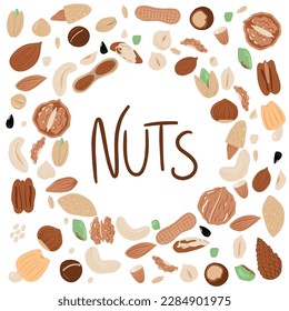 Gran conjunto de nueces y semillas en forma de círculo. Diversas nueces aisladas en blanco, pecan, macadamia, nuez brasil, nuez, almendras, avellanas, pistachos, nueces, maní.  mano vectorial dibujada