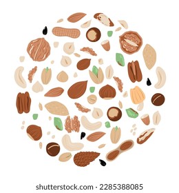 Big set of nuts and seeds in circle form. Various nuts isolated on white, pecan, macadamia, brazil nut, walnut, almonds, hazelnuts, pistachios, cashews, peanuts.  vector hand drawn