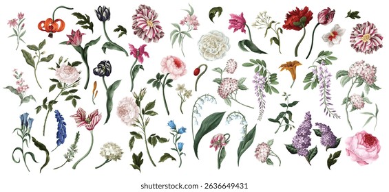 Big set oil painting rococo still-lifes flowers isolated. Vector