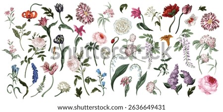 Big set oil painting rococo still-lifes flowers isolated. Vector