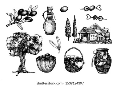 Big set with olives. Hand drawn vector illustration with olive tree, oil, branch, basket, finished product in the bank, home. Design of cosmetic and culinary products.