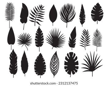 patrón de hojas de palma de conjunto grande conjunto ilustración vectorial en blanco y negro diferentes hojas de palma silueta negra