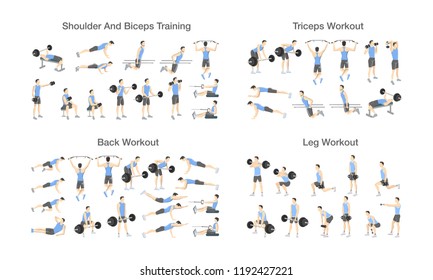Imagenes Fotos De Stock Y Vectores Sobre Workout Anatomy