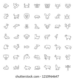 big set of pet and animals icons vector design with simple outline and modern style, editable stroke