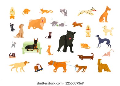 Big set of pets in various poses. Cats and dogs bundle. Vector illustration eps 10