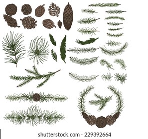 Big  set with pine,spruce branches ,cones,group,border.Modern flat decor elements for invitations,print,feb,card,banner. Christmas festive vector,nature illustration.