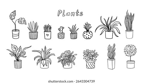 Big set of plants in doodle style. Herbs in pot, indoor plants, small plants, gardening, potted plant. Hand drawn