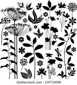 Big set of plants and flowers