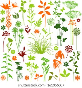 Big set of plants and flowers