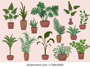 Big set of potted plants modern vintage flat style. Collection of design elements flowers, palm, ficus, monstera, avocado. Vector illustration
