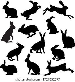 Big Set Rabbit Isolated White Background, Vector Illustration