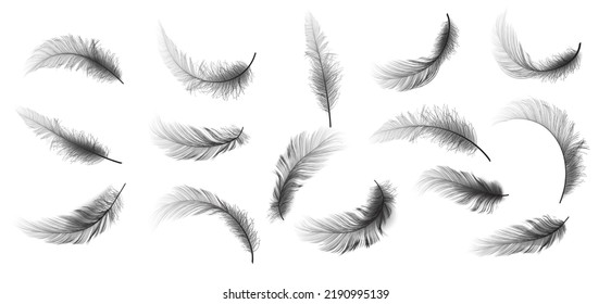 Big Set of Realistic Different Fluffy Twirled Falling Feathers Isolated on White Background. Design Template. Vector illustrtion