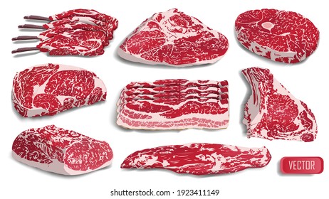 Big set of realistic meat. Cow pork steak grill food beef raw vector illustration