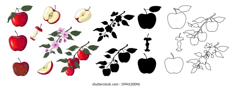 Big set of red apples in cartoon style, black silhouette and outline style. The flowering branch of an apple tree, a branch of apples, apple pieces, a rotten apple and an apple core are drawn. Vector