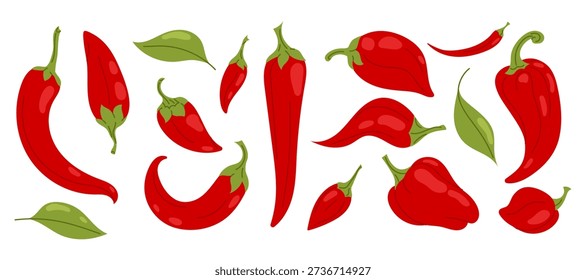 Big set red chili peppers and green leaves isolated on white. Flat illustration spicy vegetable for food design, restaurant menu, packaging, labels and hot sauce.