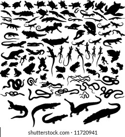 Big Set of  Reptiles Silhouettes in Different Poses. Turtle, Alligator, Crocodile, Snakes, Frogs and Other Fauna. High Detail. Vector Illustration. 