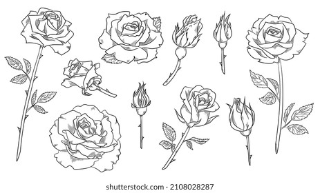 Big set of rose. Minimalistic stickers with flowers, buds, leaves and branches. Decorative elements for tattoos, logos and emblems. Cartoon flat vector collection isolated on white background