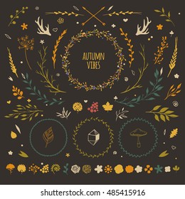 big set with rustic floral elements, vector flowers, leaves, wreaths, berries, autumn collection of decorative floral vectors