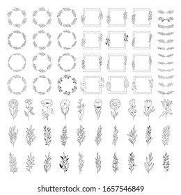 Big set of rustic hand drawn botanical borders, floral dividers, flowers and branches. Vector isolated elements. Wedding flourish laurel wreaths and frames for invitation card.