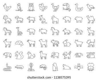 Big set of safari, arctic, forest, zoo animal and bird such as tiger, seal, camel, sloth, kangaroo, frog, pelican, parrot, toucan icon, thin line