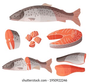 Big set salmon, red fish cut in half, cut slices and fillet vector illustration in cartoon style