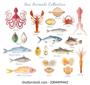 Big set with sea creatures isolated on white. Crustaceans, sea and ocean fishes, seashells gathered in one set. EPS 10 flat vector illustration.