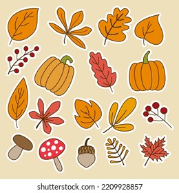 Big set season autumn objects for modern design. Vector illustration.