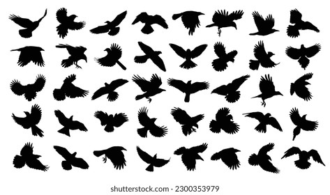 A big set of silhouettes birds of prey and seabirds in flight.
