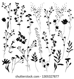 Big set silhouettes botanic blossom floral elements. Branches, leaves, herbs, wild plants, flowers. Garden, meadow, field collection leaf, foliage. Vector illustration isolated on white background