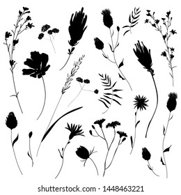 Big set silhouettes botanic blossom floral elements. Branches, leaves, herbs, wild plants, flowers. Garden, feild, meadow collection leaf, foliage. Vector illustration isolated on white background