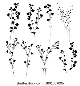 Grandes siluetas de conjunto con elementos florales de flor botánica. Ramas, hojas, hierbas, flores, plantas silvestres. Jardín, pradera, hoja de recolección de campo, follaje. Ilustración del vector aislada en fondo blanco