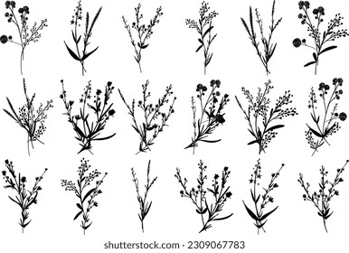 Big set silhouettes botanic blossom floral elements. Branches, leaves, herbs, wild plants, flowers. Garden, meadow, feild collection leaf, foliage. Vector illustration isolated on white background