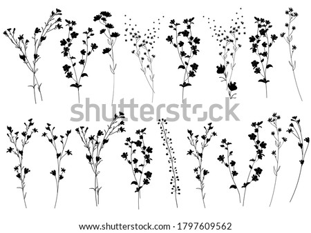 Big set silhouettes botanic blossom floral elements. Branches, leaves, herbs, flowers, wild plants. Garden, meadow, field collection leaf, foliage. Vector illustration isolated on white background