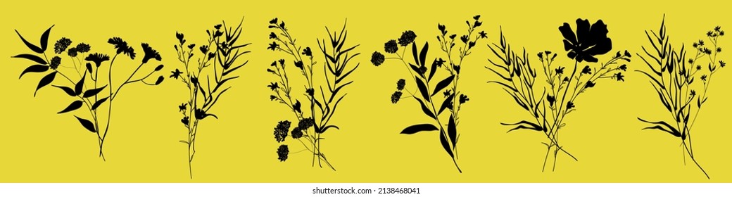 Big set silhouettes botanic floral elements. Branches, leaves, herbs, flowers. Garden, field, meadow wild plants collected in bouquet collection. Vector illustration isolated on yellow background
